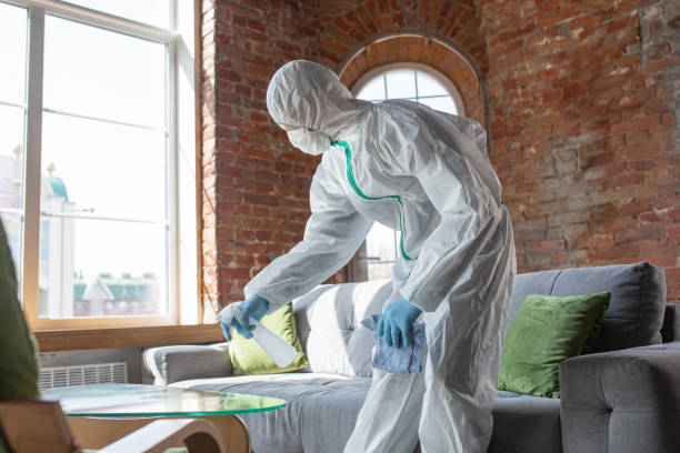 Best Commercial Mold Inspection in Walcott, IA