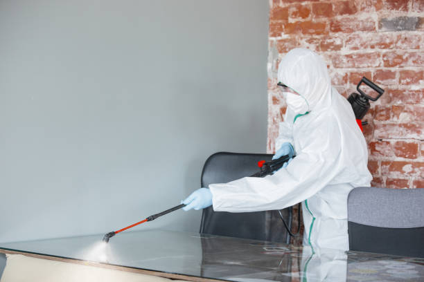 Best Water Damage & Mold Remediation in Walcott, IA